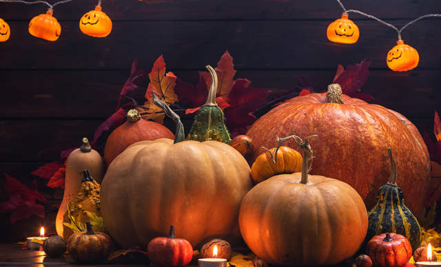 Hôtel Royal, 5 étoiles, Hôtel Ermitage, 4 étoiles à Evian - Décoration d'halloween avec citrouille