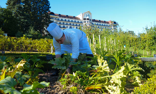 Potager du chef dans le parc de l'hôtel royal evian