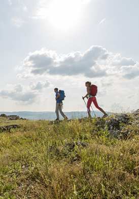 istock 1 (3).jpg