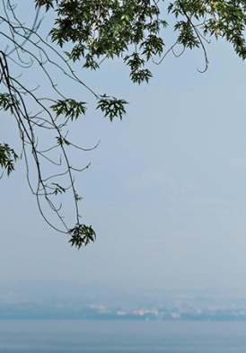 Les Mélèzes, salles de spectacles à Evian - Lac Léman floutée, visuel des RME