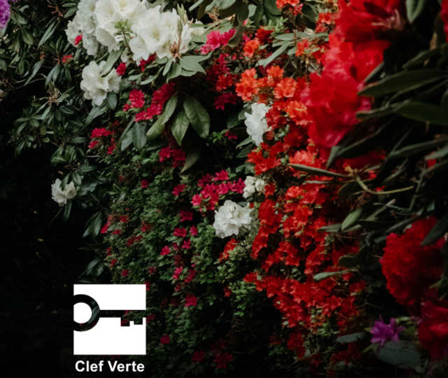 Evian Resort - Image de fleurs avec le logo clef verte