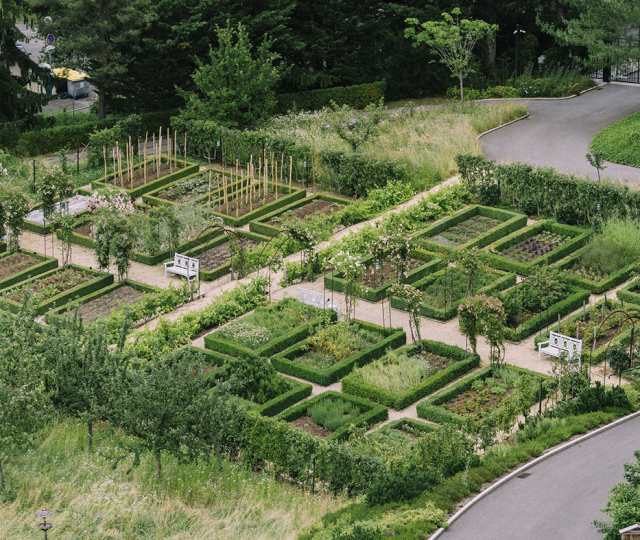 Hôtel Royal, 5 étoiles à Evian - Potager de l'hôtel Royal vue d'en haut