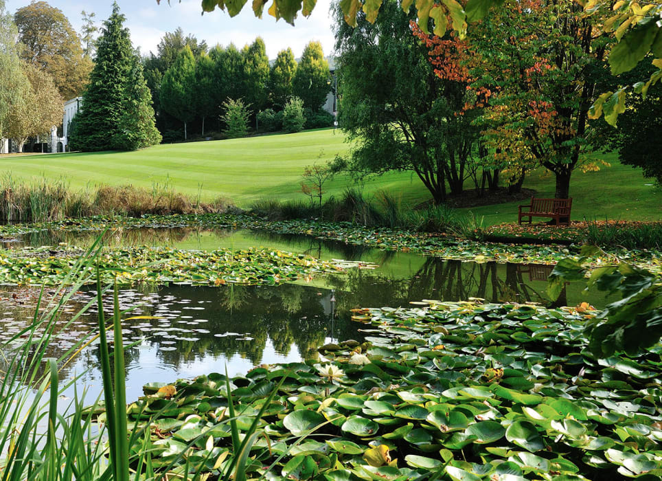 Le parc des hôtels Evian Resort avec la végétation, l'eau et les nénuphars