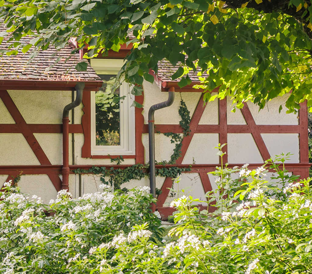 chalet de l'hôtel La Verniaz au milieu de son jardin fleuri à Evian