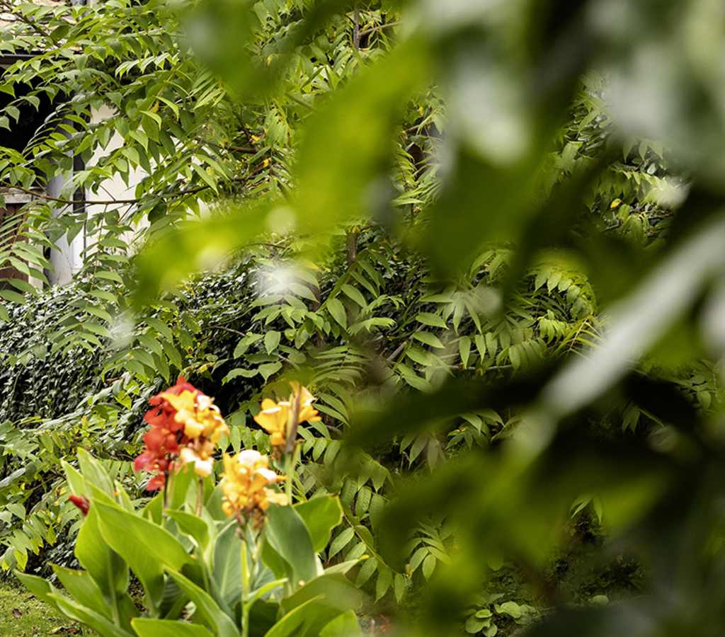 Couple-chien-promenade-jardin-la-verniaz.jpg
