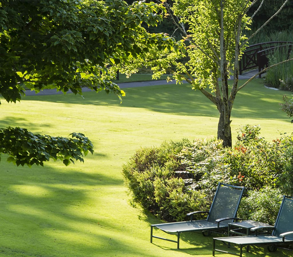 Deux transats au milieu de la nature verdoyante du parc de l'Hôtel Ermitage