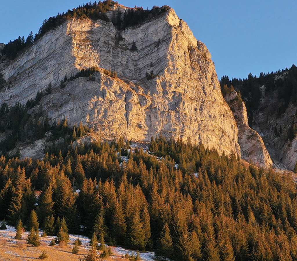 Evian Resort - Montagne de la Haute Savoie, Thollon les Mémises