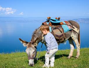 Hôtel Royal, 5 étoiles à Evian - Enfant jouant avec l'âne lors de Balade face au lac