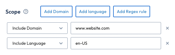 Lists the scope options. An include domain for www.website.com and an exclude language for en-US.