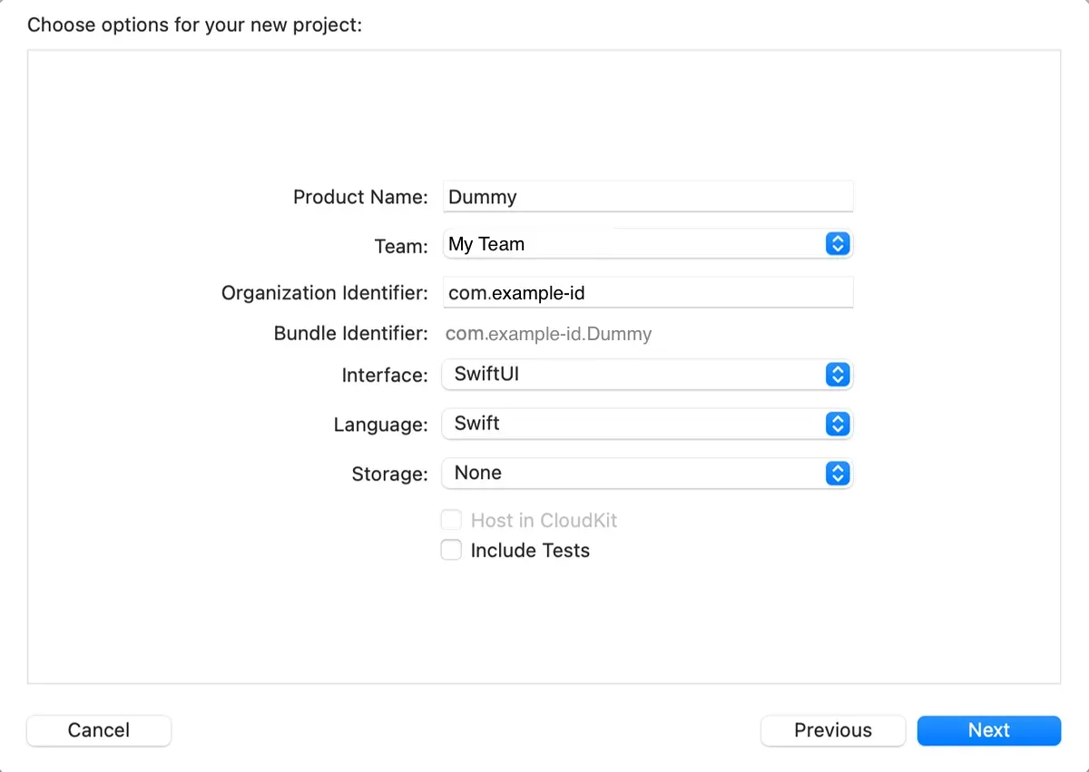 Dialog to choose project options