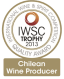 Produtor de Vinho Chileno do Ano pelo International Wine &amp; Spirits Competition 2013