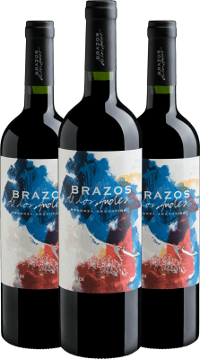 Vinho Tinto Zuccardi Brazos de Los Andes 2012 - Evino