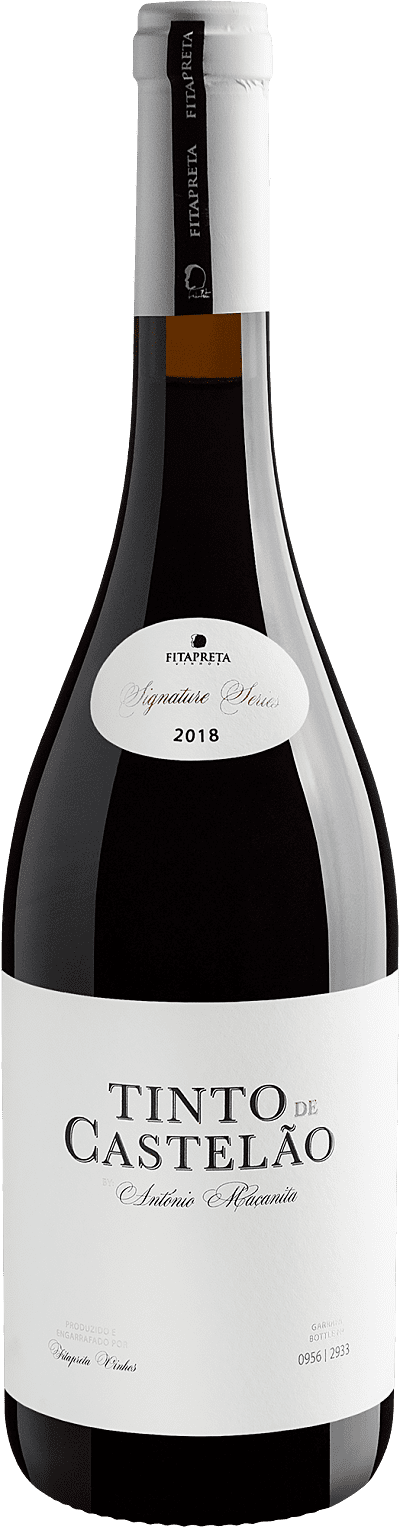 Vinho Tinto - Tinto de Castelão by António Maçanita 2018 Castelão - Portugal