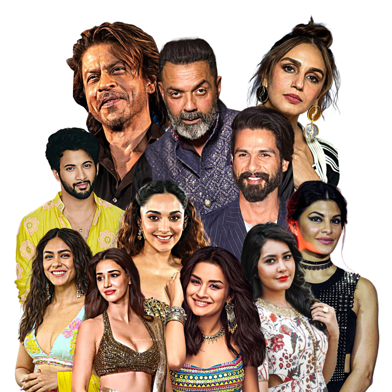 Bollywood artists