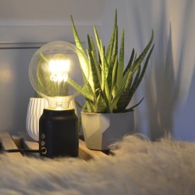 Halo Design Colors Original E27 globepære