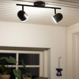 Nielsen Light Hall spotter i tak