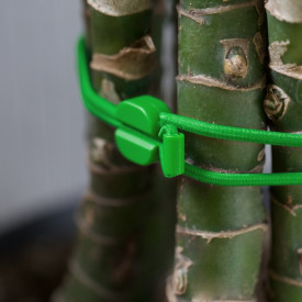 Bluelounge Pixi kabelsnor, mellom, sort/grøn, 2 stk.