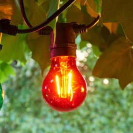 Sirius Tobias lyspærer, rød