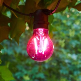 Sirius Tobias lyspærer, lilla