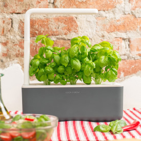 Click and Grow Smart Garden startsæt, grå