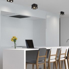 Trio Lighting Cookie spotlight, 4 spotter, sort