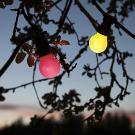 Star Trading , Farget B22 LED lyspære, rød