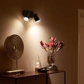 Philips Hue Fugato spotter i tak, sort