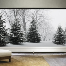 Purmo Kon 34 lavkonvektor, 21,4x120 cm, 15 m²