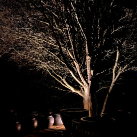 Light By Juul Juulius 1 utendørs spot