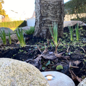 Light By Juul pigstein med Juuliane spot