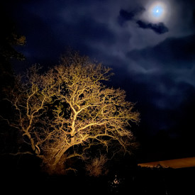 Light By Juul Juuliane utendørs spot