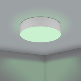 Eglo Z Romao plafond, grå