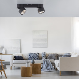 Paul Neuhaus Pure Nola spotlampe