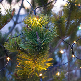 6 stk Sirius Top-Line Energy udendørs lysnet, 100 varm hvide lys, 2x1,5 meter, startsæt