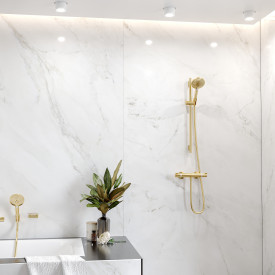 Hansgrohe Raindance Select S 120 hånddusj, vannbesparende, gull