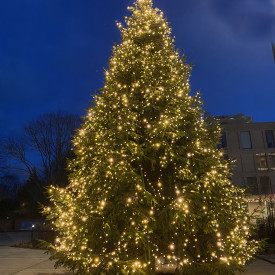 Za-Za Twilight utendørs lyslenke, 12 meter