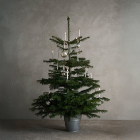 Uyuni juletræslys, 2-pak