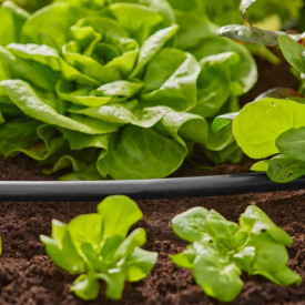 Gardena Micro-Drip-System Flex hovedrør 13 mm (1/2") 50 m