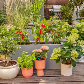 3 stk Gardena Micro-Drip-System terrassesett (30 planter)