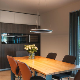 SLV One pendellampa, svart