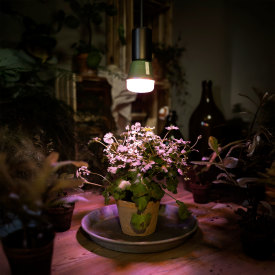 Ledvance Vintage 1906 Needle pendeloppheng, grå