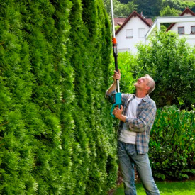 Gardena teleskopisk hekksaks, 42 cm, 18V/2,5 Ah batteri og lader