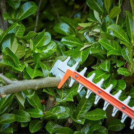 BLACK & DECKER 650w hækkeklipper BEHTS551-QS med 60 cm sværd