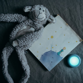 Osram Smart+ Dot It Twist & Shake lampe