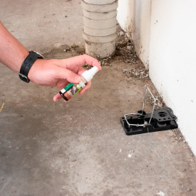 Camro monitoreringsspray, caramel, 100 ml