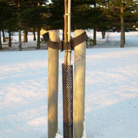 Treeguard træbeskyttelsesnet, sort, 62 x 600 mm