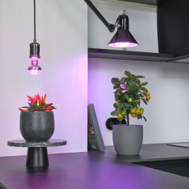 Osram Grow E27 plantelys, 7,5W