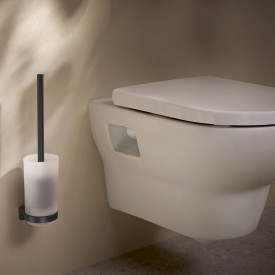 Hansgrohe AddStoris toiletbørste, mat sort