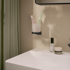 Hansgrohe AddStoris tandkrus, mat sort
