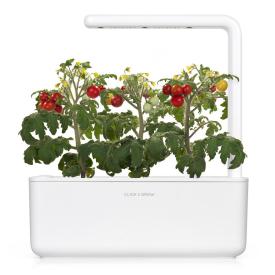 Click and Grow Mini tomater - 3 stk